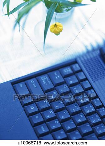 Stock Photo - Keyboard and Plant on the Desk, High Angle View. Fotosearch
