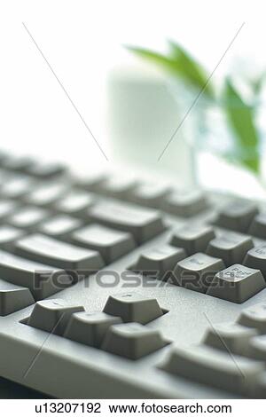 Stock Image - Keyboard, Coffee Cup and Flower on the Desk, Close Up. Fotosearch