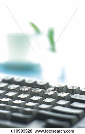 Stock Photo - Keyboard, Coffee Cup and Flower on the Desk, Close Up. Fotosearch