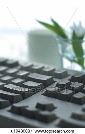 Stock Photo - Keyboard, Coffee Cup and Flower on the Desk, Close Up. Fotosearch