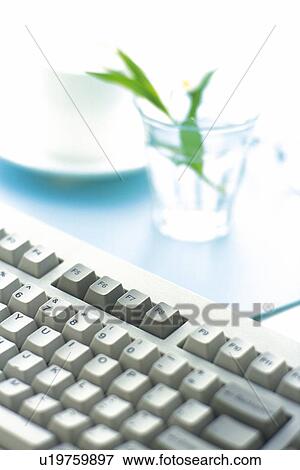 Stock Photo - Keyboard, Coffee Cup and Flower on the Desk, Close Up. Fotosearch