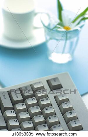 Keyboard, Coffee Cup and Flower on the Desk, High Angle View View Large Photo Image Stock Photography - Keyboard, Coffee Cup and Flower on the Desk, High Angle View. Fotosearch