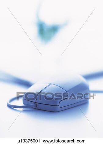 Stock Image - Mouse, Close Up. Fotosearch