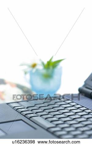 Stock Photo - Personal Computer and Flower on the Desk, Close Up. Fotosearch