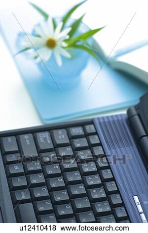 Stock Photo - Personal Computer, Flower and Notebook on the Desk, High Angle View. Fotosearch