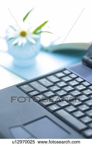 Personal Computer, Flower and Notebook on the Desk, Close Up View Large Photo Image Stock Photography - Personal Computer, Flower and Notebook on the Desk, Close Up. Fotosearch