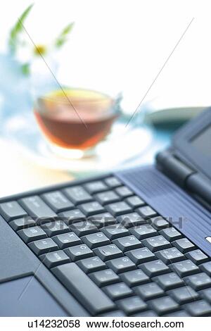 Stock Photo - Personal Computer, Flower and Tea on the Desk, Close Up. Fotosearch
