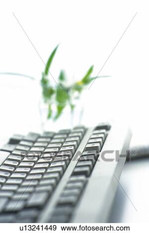 Keyboard and flower in a glass, Pin Focus, High Angle View View Large Photo Image Stock Photo - Keyboard and flower in a glass, Pin Focus, High Angle View. Fotosearch