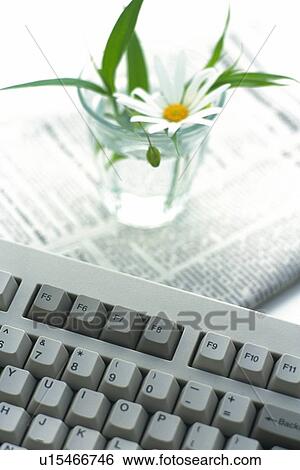 Keyboard and flower in a glass, Pin Focus, High Angle View View Large Photo Image Stock Photograph - Keyboard and flower in a glass, Pin Focus, High Angle View. Fotosearch