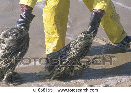 Stock Image - A close-up of a man participating in an environmental clean up. Fotosearch
