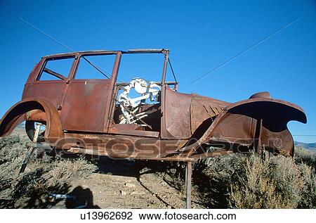 Stock Image - A deserted car with a cow skeleton . Fotosearch