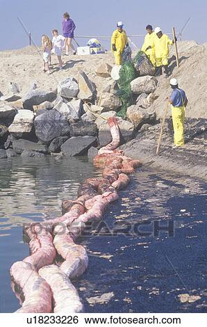 A team of environmentalists clean up an oil spill View Large Photo Image Stock Photograph - A team of environmentalists clean up an oil spill. Fotosearch