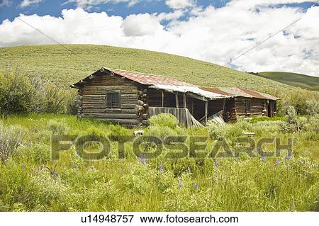 Deserted old homestead in summer View Large Photo Image Stock Photo - Deserted old homestead in summer . Fotosearch