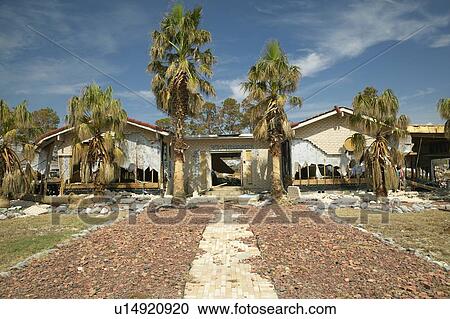 Stock Image - Palm tree walkway leads to house destroyed by Hurricane Ivan. Fotosearch