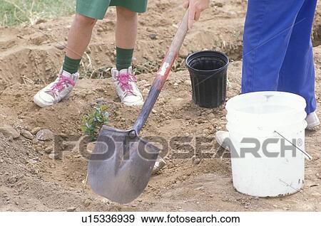 A close-up of a woman and a little girl planting a tree View Large Photo Image Stock Photo - A close-up of a woman and a little girl planting a tree. Fotosearch