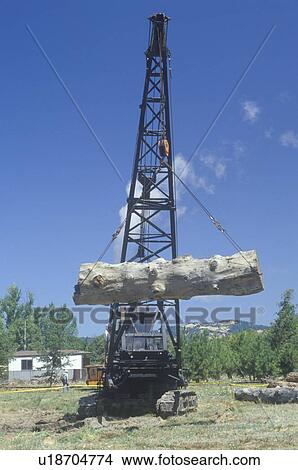 A crane raising a weathered log View Large Photo Image Picture - A crane raising a weathered log. Fotosearch