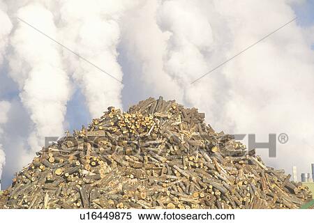 A pile of trees with smoke streaming in the background await milling at a paper mill, USA View Large Photo Image Stock Photography - A pile of trees with smoke streaming in the background await milling at a paper mill, USA. Fotosearch