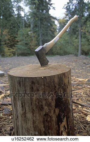 Stock Image - An axe being thrust into a large log. Fotosearch