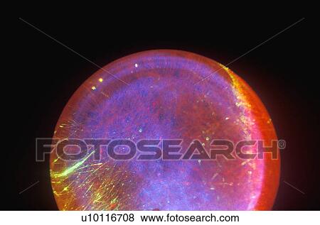 A glowing crystal sphere as colorful laser light shines through View Large Photo Image Stock Photo - A glowing crystal sphere as colorful laser light shines through. Fotosearch