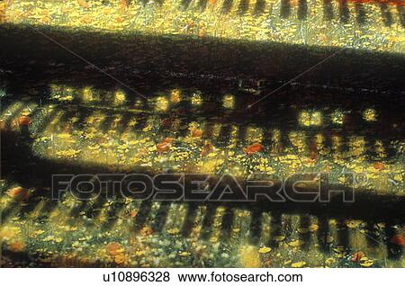 Special effects composite of silhouette of piano keys and flowery field View Large Photo Image Stock Photo - Special effects composite of silhouette of piano keys and flowery field. Fotosearch