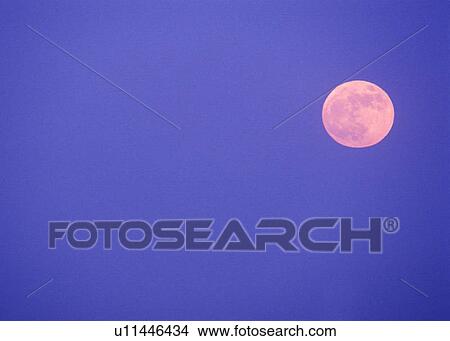 A full moon against a blue twilight sky View Large Photo Image Picture - A full moon against a blue twilight sky. Fotosearch