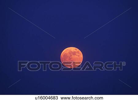 Stock Image - A full moon against a deep blue twilight sky. Fotosearch