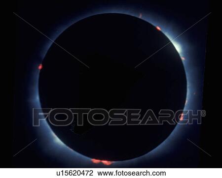 Stock Image - A total solar eclipse with prominences. Fotosearch