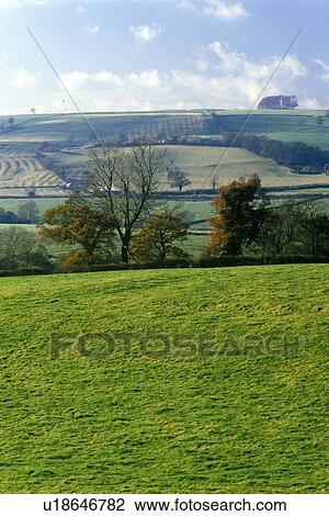 A sacred site along the English countryside in Glastonbury View Large Photo Image Stock Image - A sacred site along the English countryside in Glastonbury. Fotosearch