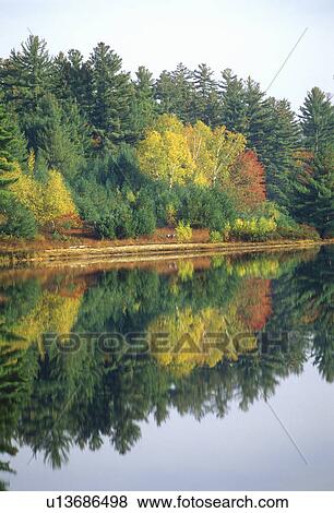 Autumn colors in Purity Spring View Large Photo Image Stock Photo - Autumn colors in Purity Spring. Fotosearch