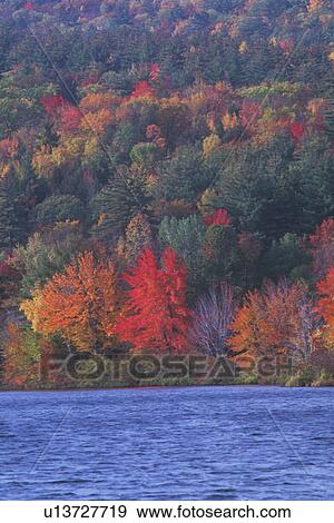 Autumn Leaves View Large Photo Image Stock Photo - Autumn Leaves. Fotosearch