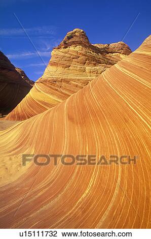 Stock Image - Close up of sandstone stripes, 'The Wave' on Kenab Coyote Butte. Fotosearch