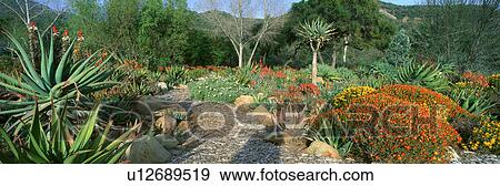Garden View Large Photo Image Stock Photo - Garden. Fotosearch