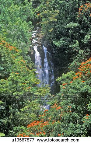 Stock Photo - Nanee Falls. Fotosearch