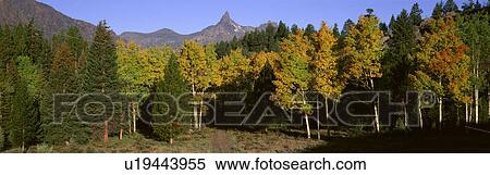 Stock Photography - Pilot Mountain. Fotosearch