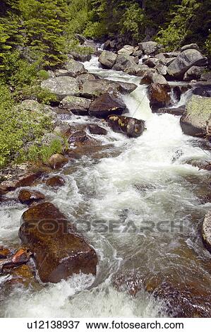 Running water beneath Pines as creek runs through Payette national Forest View Large Photo Image Stock Photo - Running water beneath Pines as creek runs through Payette national Forest. Fotosearch