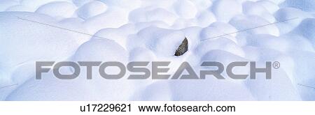 Snow-covered rocks View Large Photo Image Stock Image - Snow-covered rocks. Fotosearch
