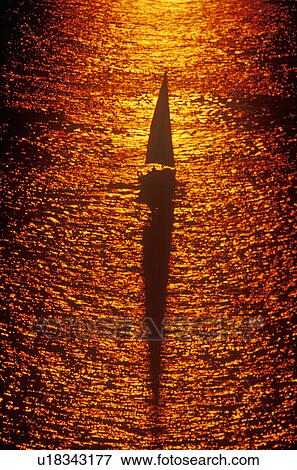 A sailboat cruising during a sunset View Large Photo Image Stock Photo - A sailboat cruising during a sunset. Fotosearch