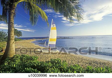A sailboat launched on the beach View Large Photo Image Stock Photograph - A sailboat launched on the beach. Fotosearch