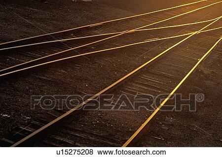 Stock Photo - Railroad tracks shine at sunset. Fotosearch