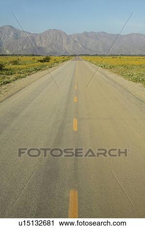 Roadway through flower fields View Large Photo Image Stock Image - Roadway through flower fields. Fotosearch