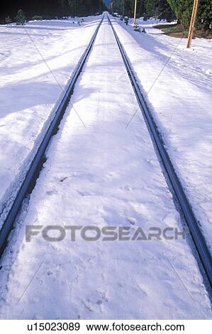 Railroad tracks View Large Photo Image Stock Photo - Railroad tracks. Fotosearch