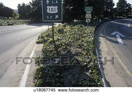 Stock Photography - A 101 Freeway sign in California. Fotosearch