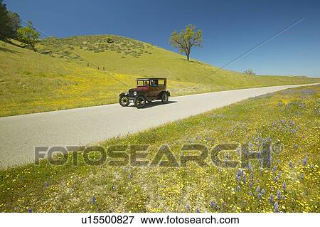A maroon Model T driving down a scenic road View Large Photo Image Stock Photo - A maroon Model T driving down a scenic road. Fotosearch