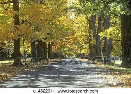Stock Image - Autumn road. Fotosearch