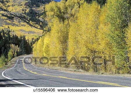 Autumn road View Large Photo Image Stock Photograph - Autumn road. Fotosearch