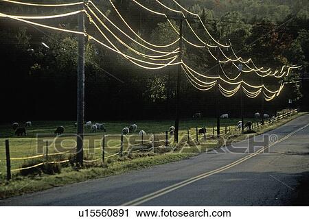 Stock Image - Power lines and a road during sunset. Fotosearch