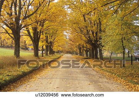 Stock Photograph - Rural road. Fotosearch