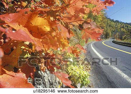 Stock Photograph - Scenic drive. Fotosearch