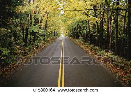 Tree lined two lane highway View Large Photo Image Picture - Tree lined two lane highway. Fotosearch