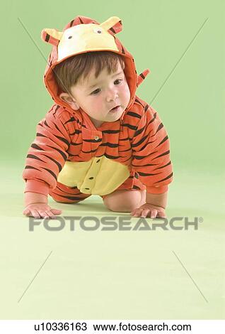 Baby boy wearing a tiger costume View Large Photo Image Stock Image - Baby boy wearing a tiger costume. Fotosearch